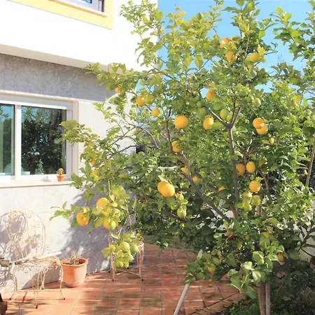 Do Limao Villa Tavira