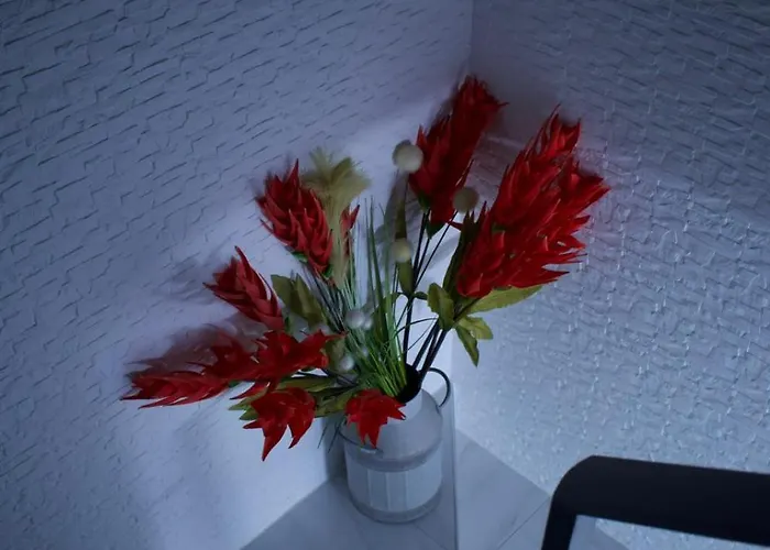 Do Limao تافيرا